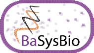 BasysBio